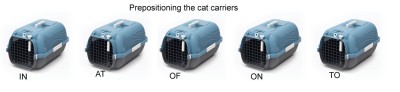 prepositioning-the-cat-carriers.jpg